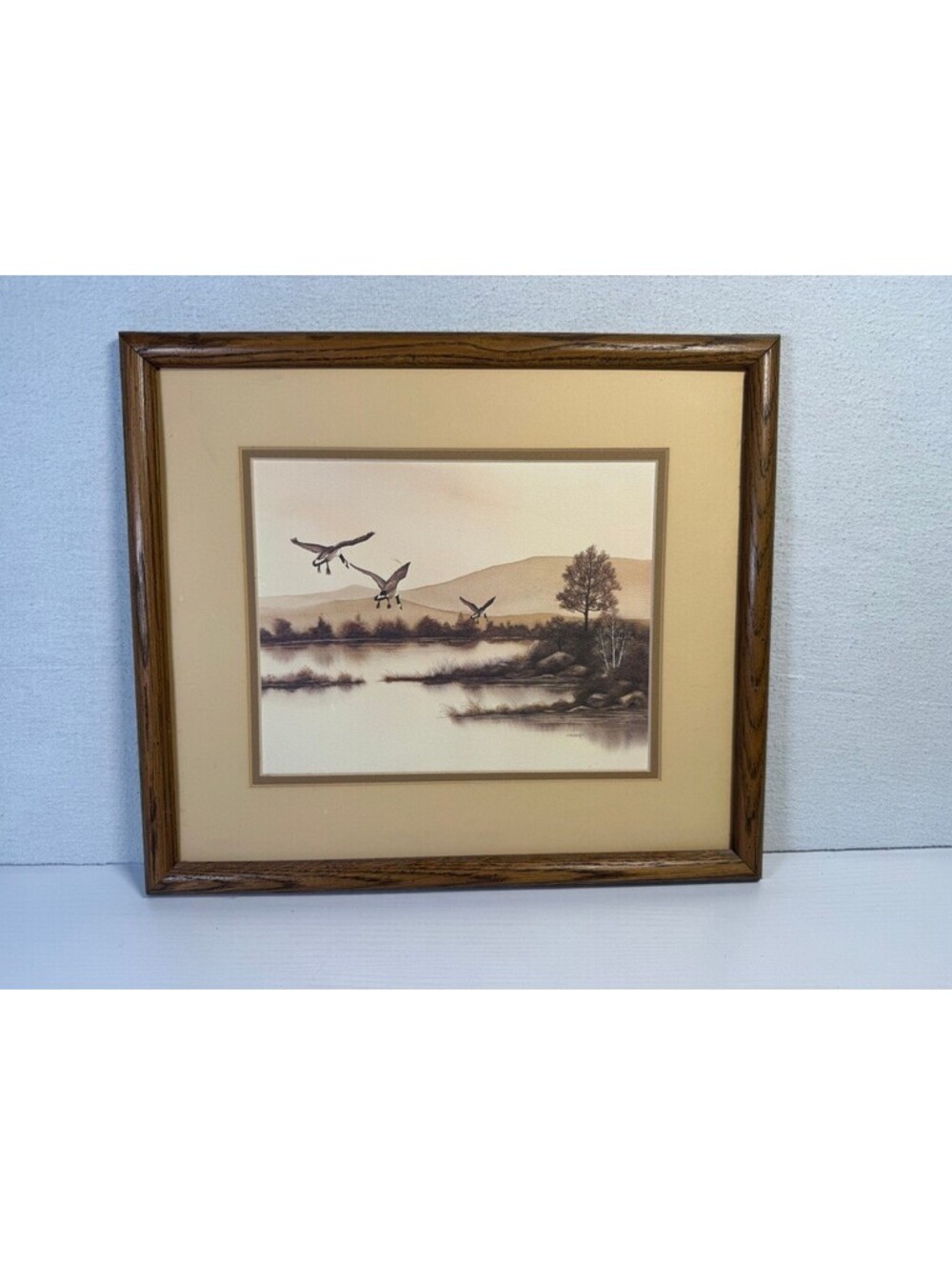 Vintage Landscape Ducks in Flight Vintage Watercolor by F. Massa Wall Art